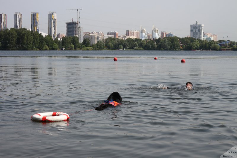 Фотография № 209480