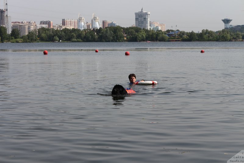 Фотография № 209481