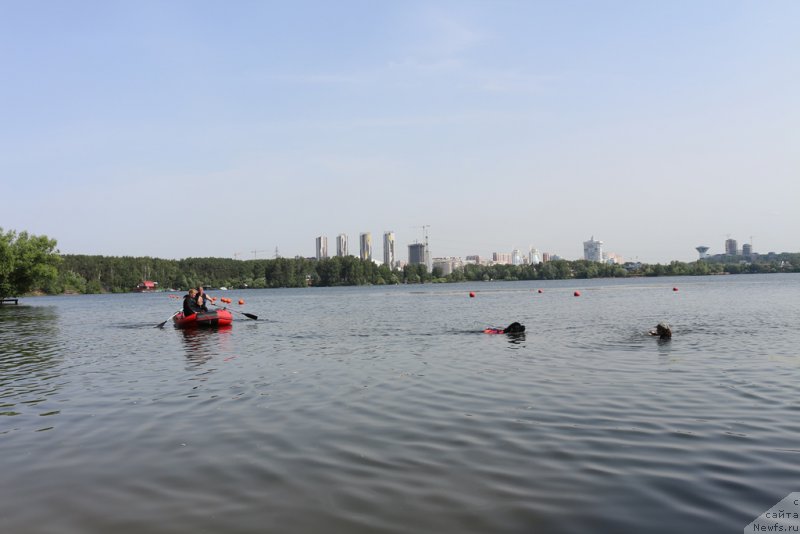 Фотография № 209483