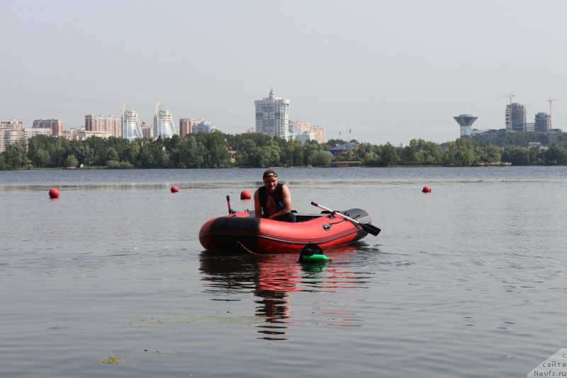 Фото: ньюфаундленд Toptyzhka Geroy Nashego Vremeni (Топтыжка Герой Нашего Времени)