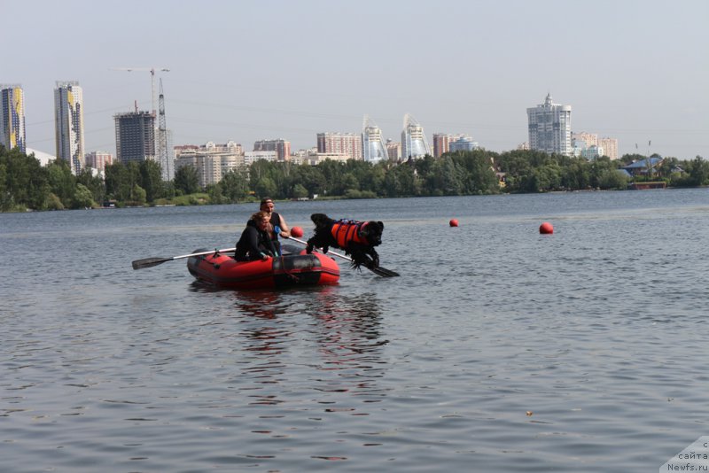 Фотография № 209487