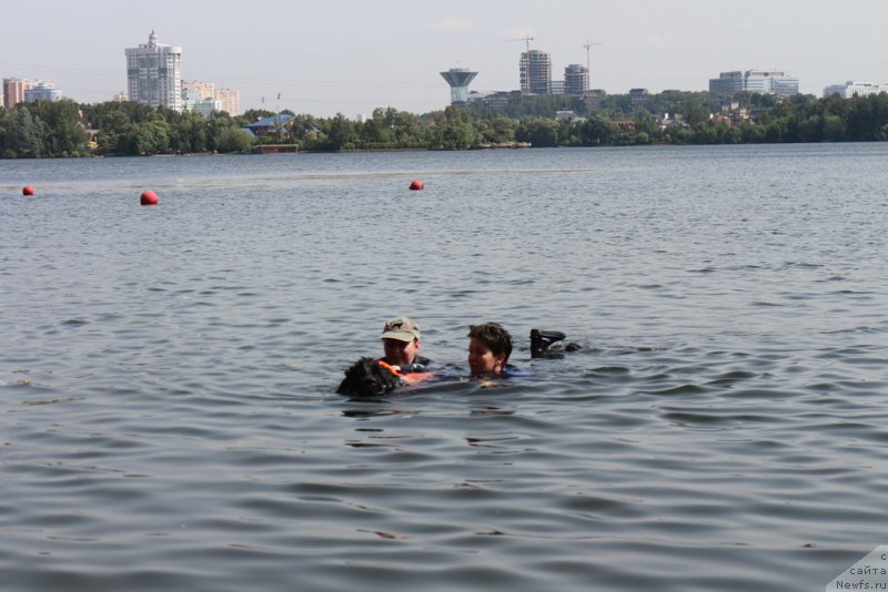 Фотография № 209489