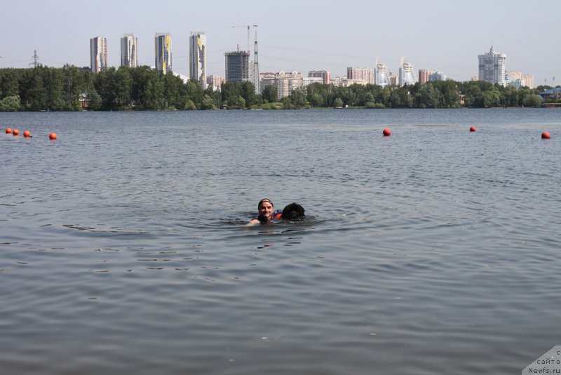 Фотография № 209490