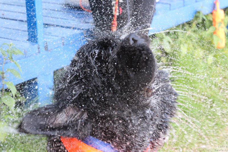 Фотография № 209491