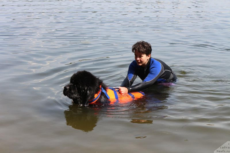 Фотография № 209492