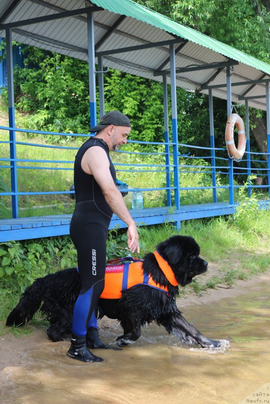 Фотография № 209493