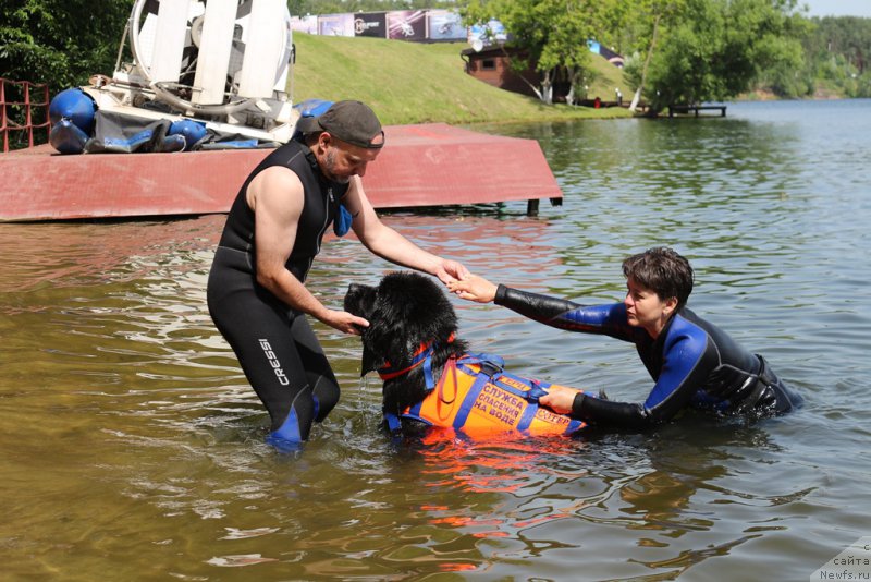 Фотография № 209494