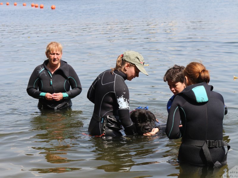 Фотография № 209496