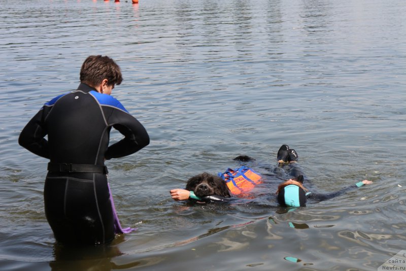 Фотография № 209497