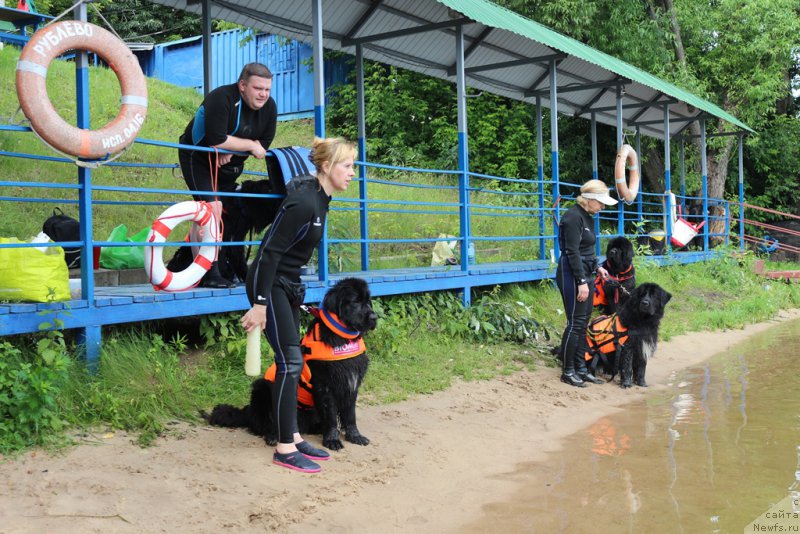 Фотография № 209498