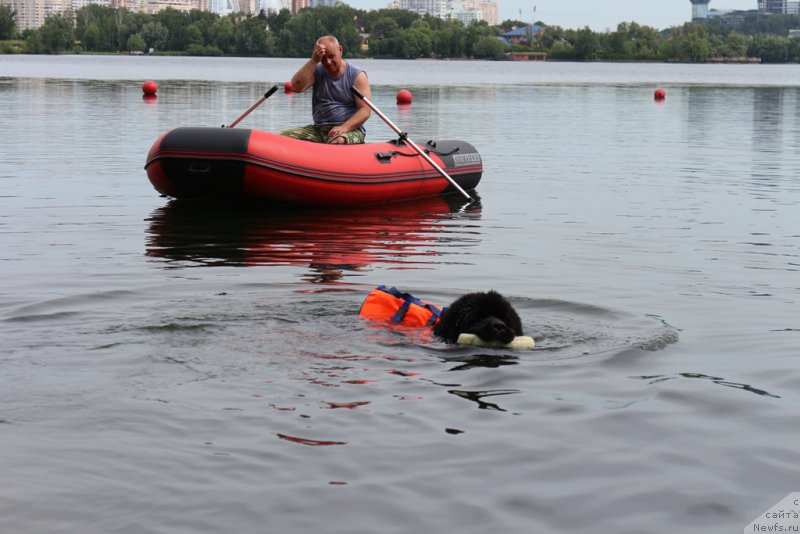 Фотография № 209500