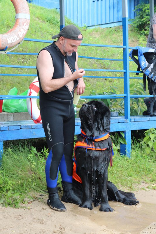 Фотография № 209501