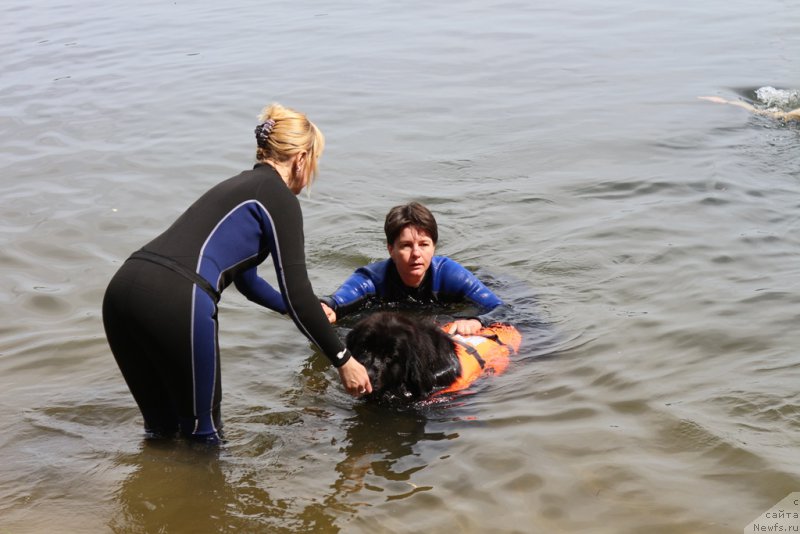 Фотография № 209502