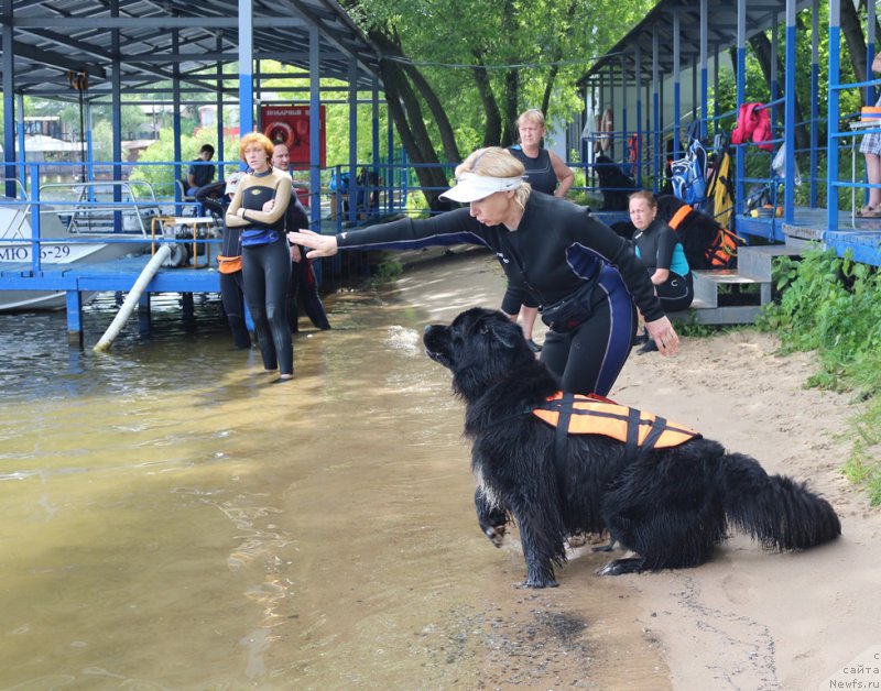 Фотография № 209503