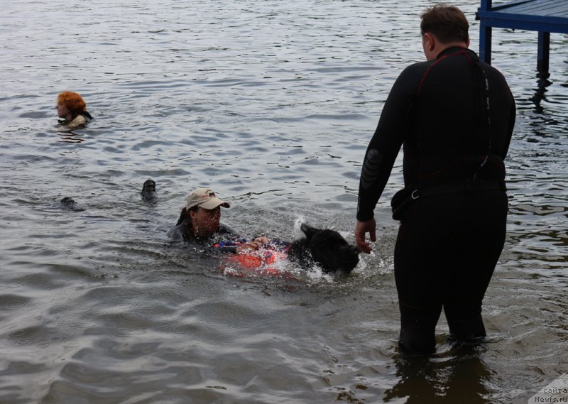 Фотография № 209504