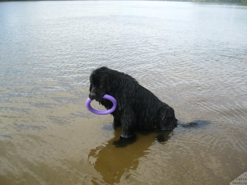 Фотография № 209506