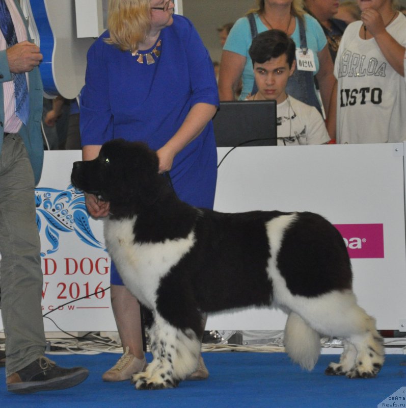 Фотография № 209509