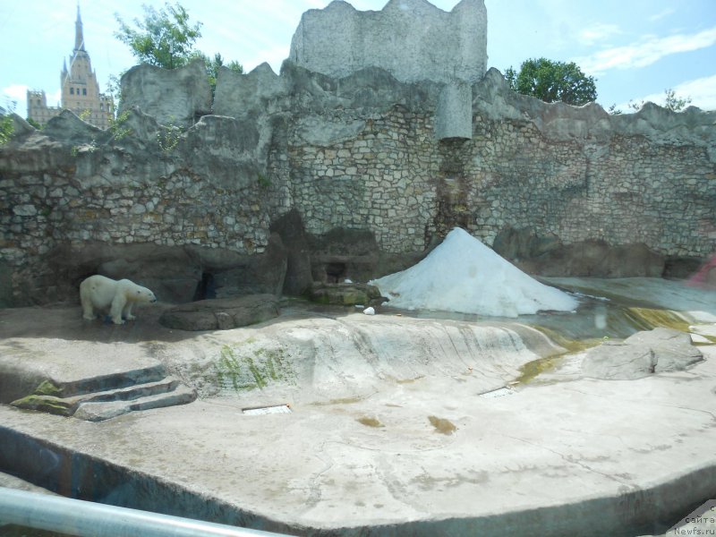 Фотография № 209523