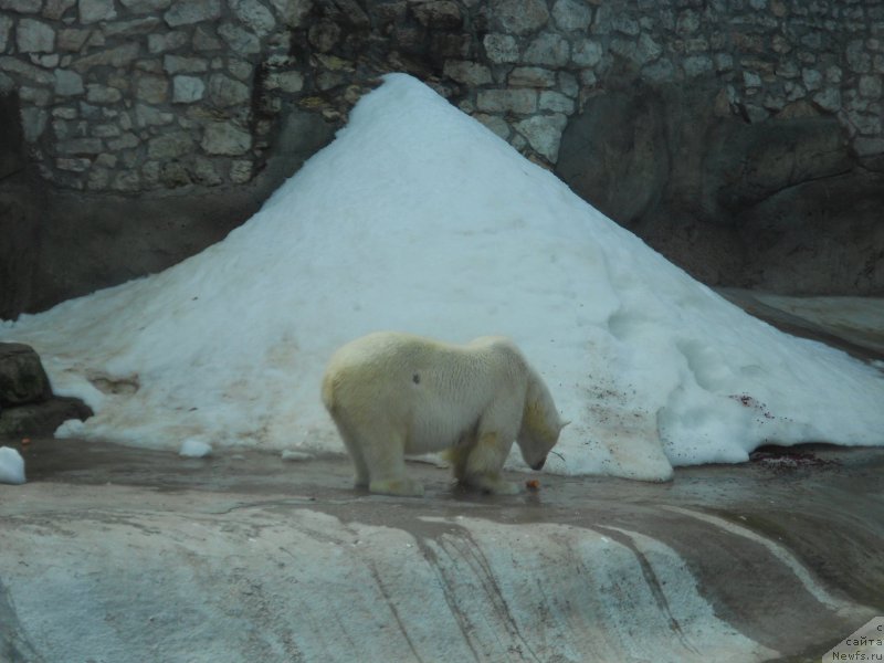 Фотография № 209524