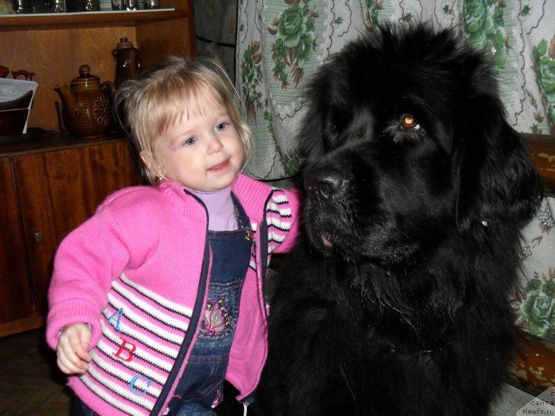 Фотография № 209561