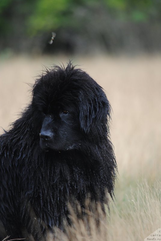 Фотография № 209562