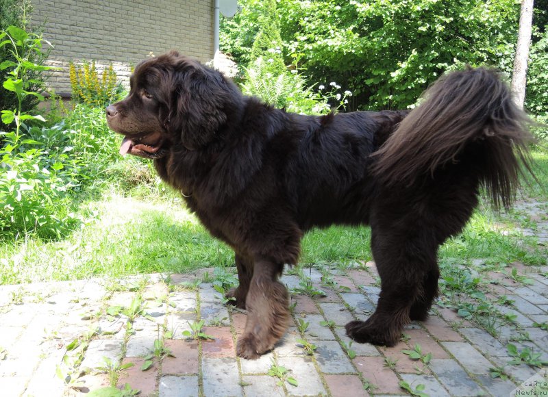 Фотография № 209591