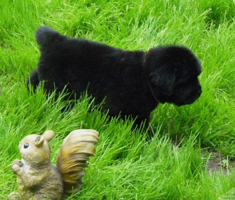 Фотография № 209621