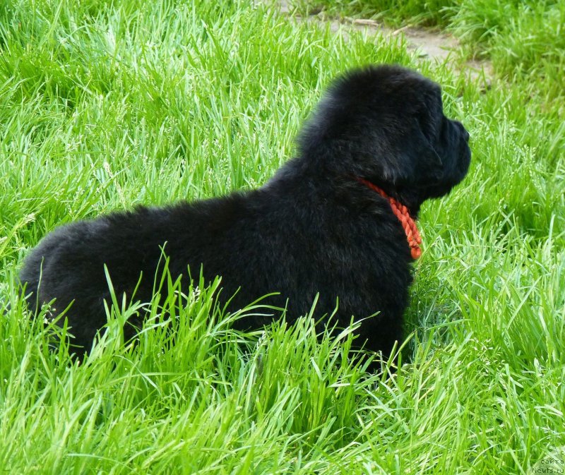 Фотография № 209637