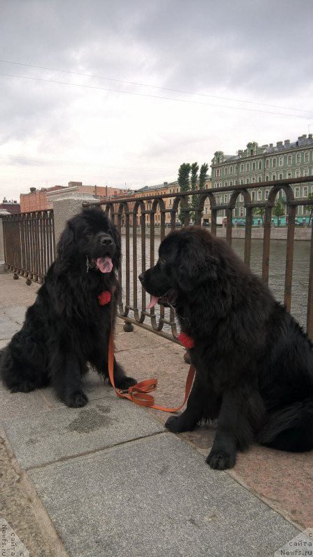 Фотография № 209648