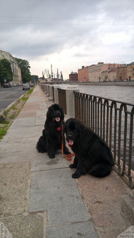 Фотография № 209650