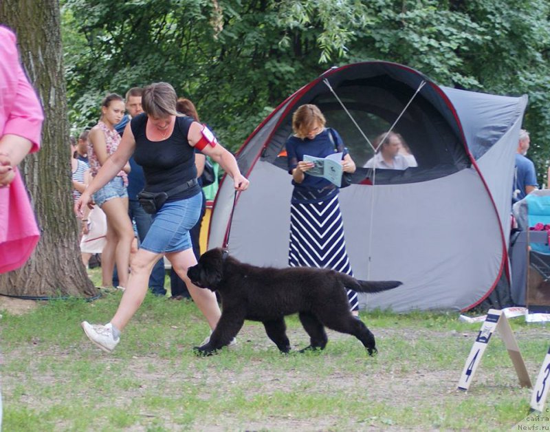 Фотография № 209664