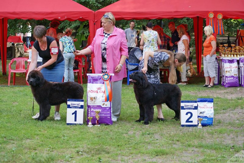 Фотография № 209666