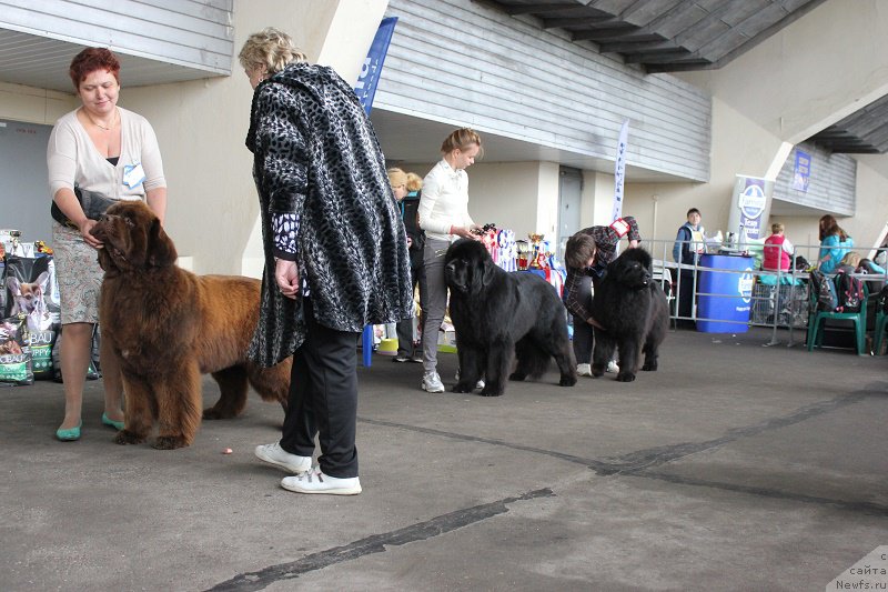 Фотография № 209676