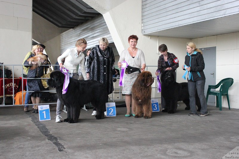 Фотография № 209677