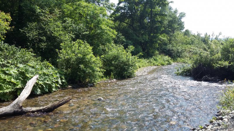 Фото: Речка