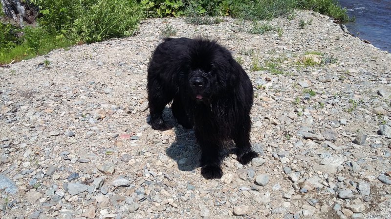 Фотография № 209681