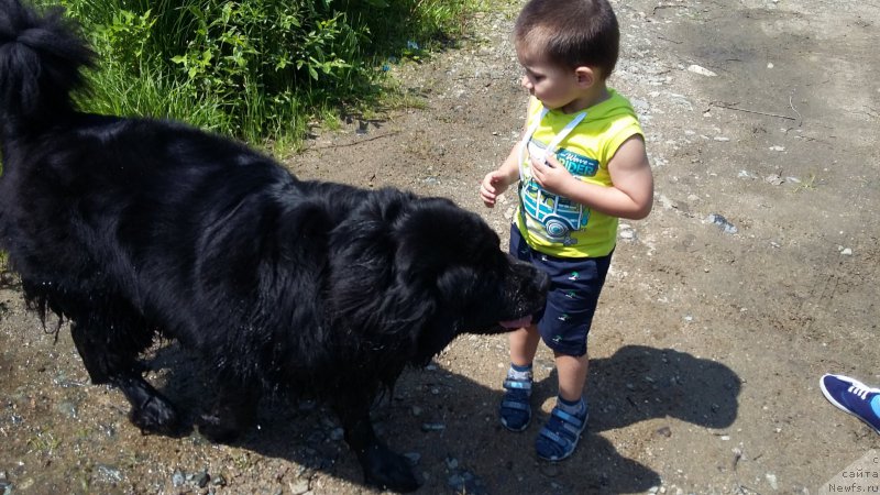 Фотография № 209684