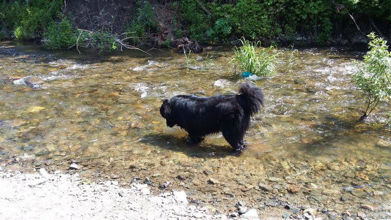 Фотография № 209686