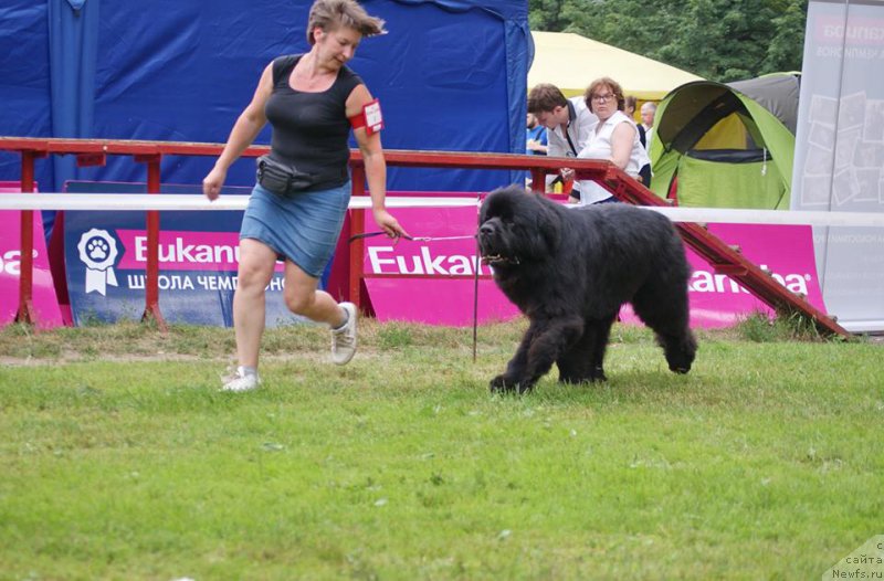 Фотография № 209691