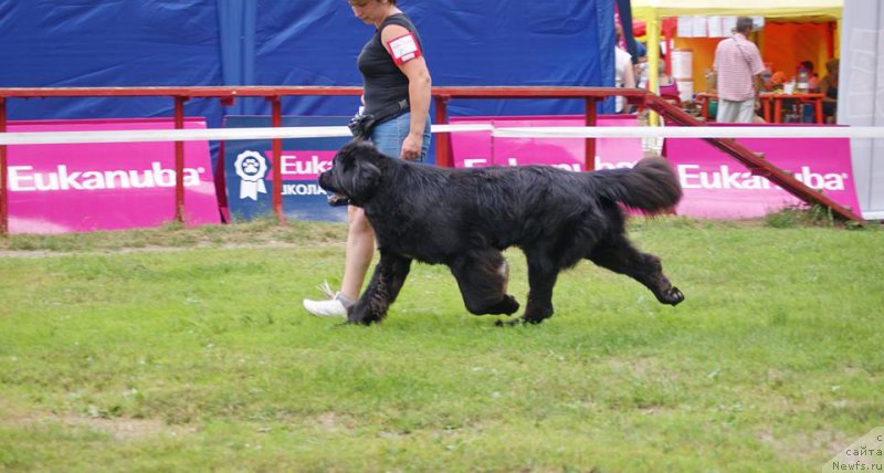 Фотография № 209693