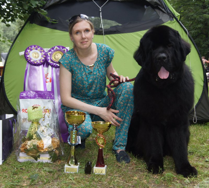 Фотография № 209708