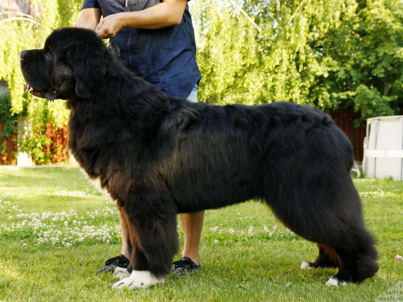 Фотография № 209717