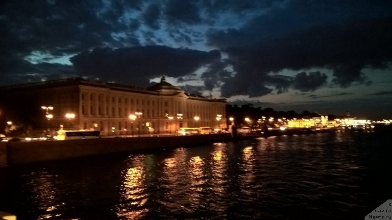 Фото: ньюфаундленд Belkonder-Club Bella Renaissance (Белкондер-Клаб Белла Ренессанс)