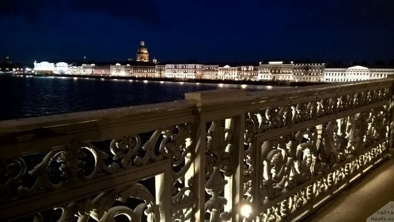 Фото: ньюфаундленд Belkonder-Club Bella Renaissance (Белкондер-Клаб Белла Ренессанс)