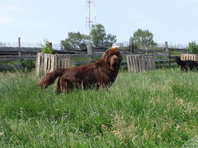 Фотография № 209733