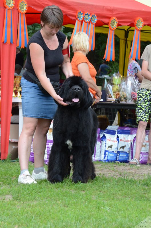 Фотография № 209756