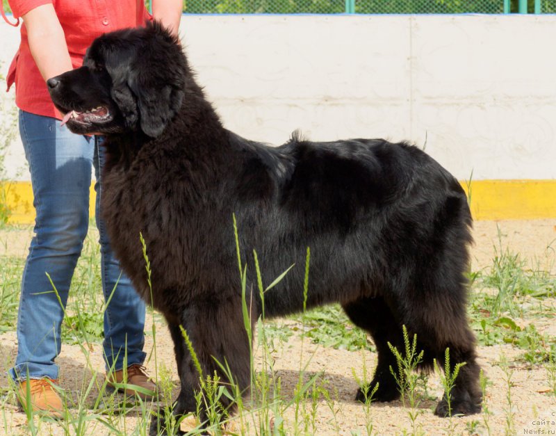 Фотография № 209767