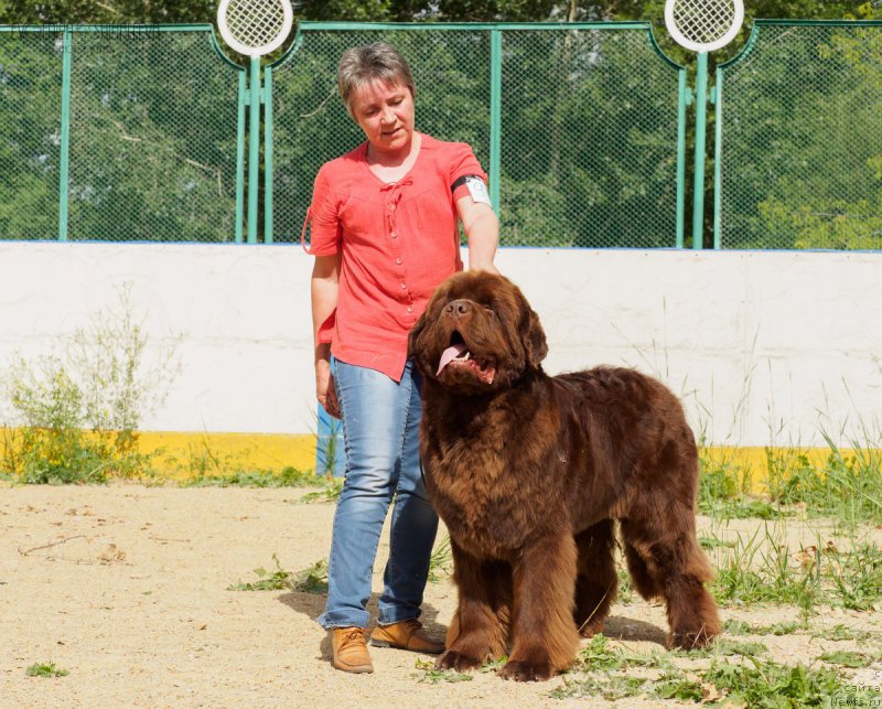 Фотография № 209768