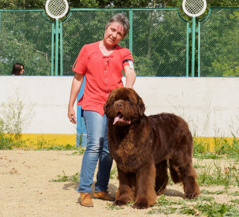 Фотография № 209769