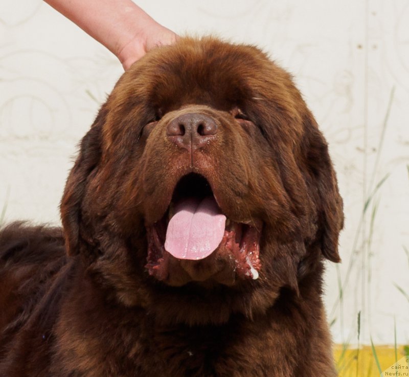 Фотография № 209770